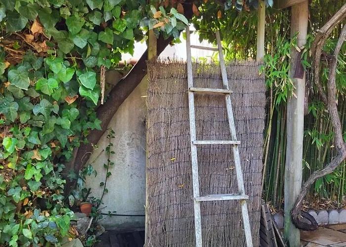 La Maison Blanche - Et Centre * Fouras